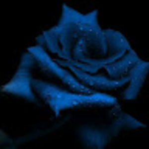 Meet your Posher, Carla